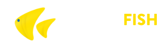 Yellowfish Transfers